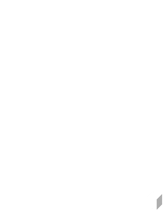 blankfavicon